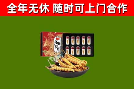 茫崖市回收冬虫夏草价格
